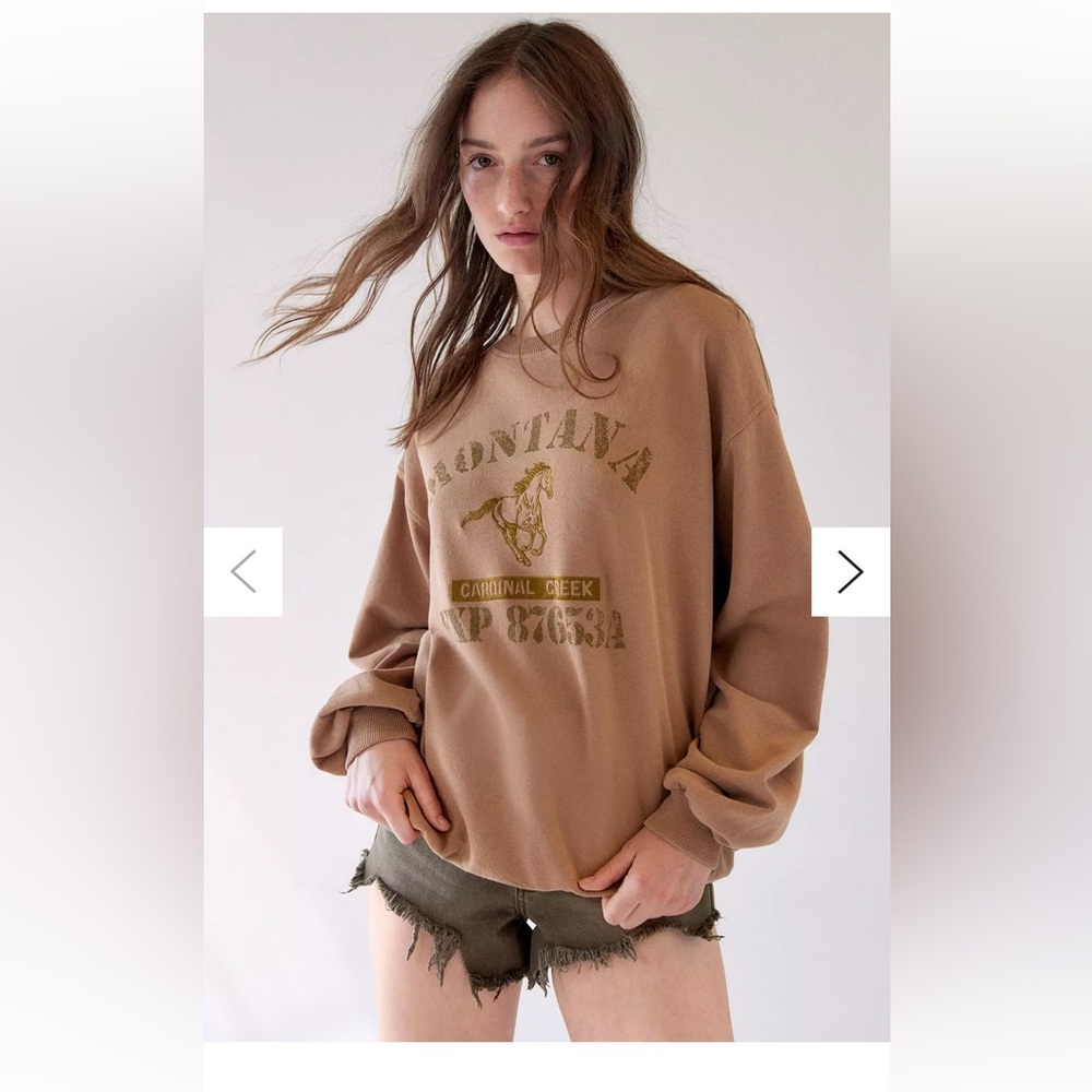 BDG URBAN OUTFITTERS Montana Sweatshirt